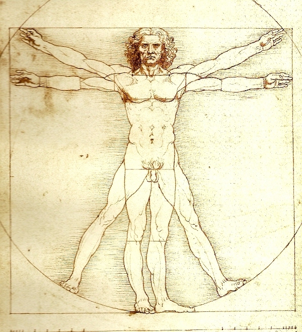El hombre de Vitruvio, Galería de la Academia de Venecia