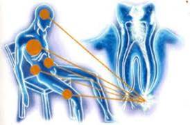 odontologiadeporte