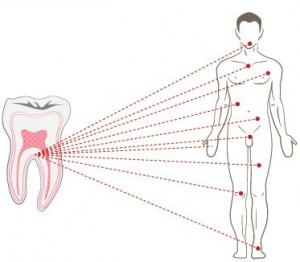 salud-dental-300x262